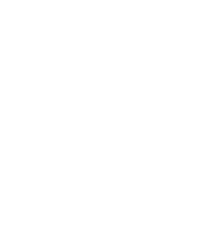 logoweb hoyo team